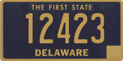 DE license plate 12423