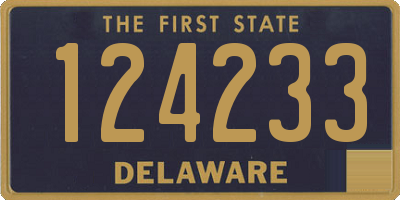 DE license plate 124233