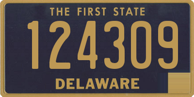 DE license plate 124309