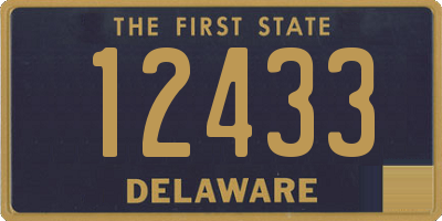 DE license plate 12433