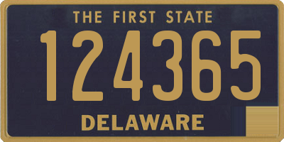 DE license plate 124365