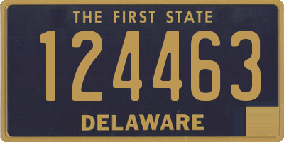 DE license plate 124463