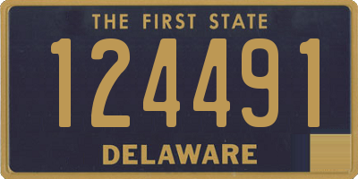 DE license plate 124491