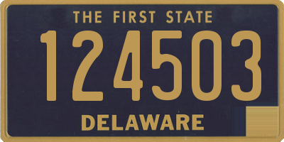 DE license plate 124503