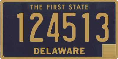 DE license plate 124513