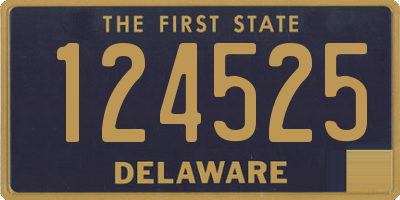 DE license plate 124525