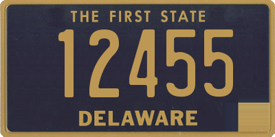 DE license plate 12455