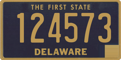 DE license plate 124573