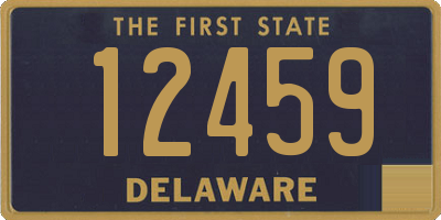 DE license plate 12459