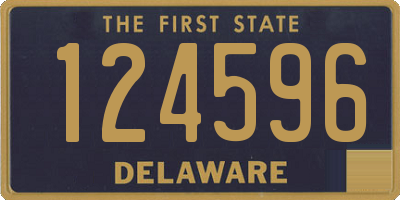 DE license plate 124596