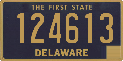 DE license plate 124613