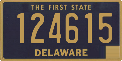 DE license plate 124615