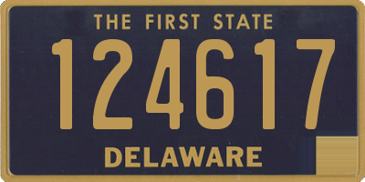 DE license plate 124617