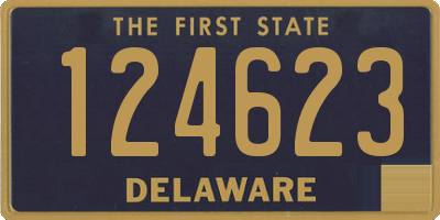 DE license plate 124623