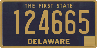 DE license plate 124665