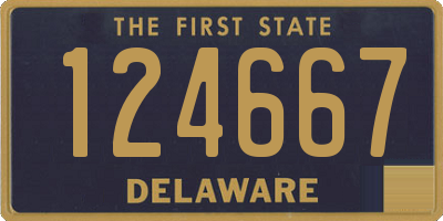 DE license plate 124667