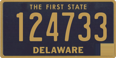 DE license plate 124733