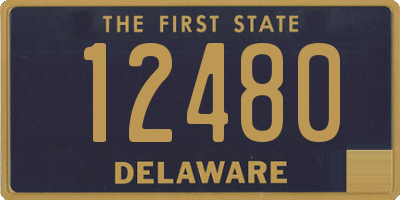 DE license plate 12480