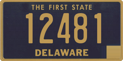 DE license plate 12481