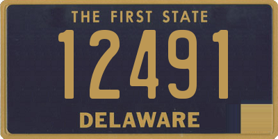 DE license plate 12491