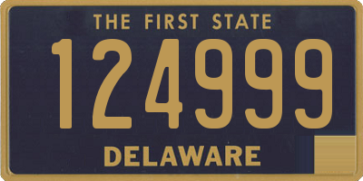 DE license plate 124999