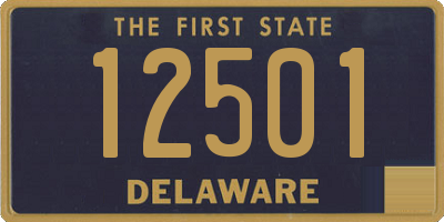 DE license plate 12501