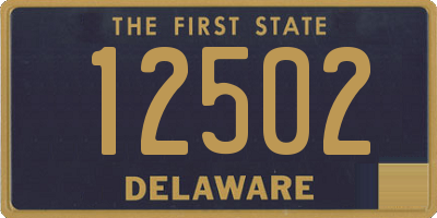 DE license plate 12502