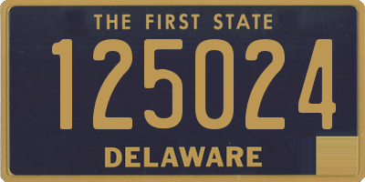 DE license plate 125024