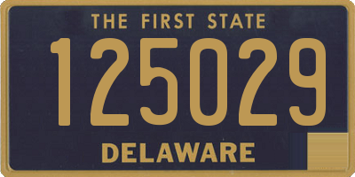 DE license plate 125029