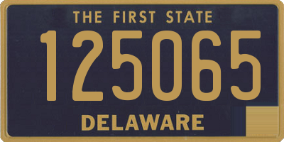 DE license plate 125065