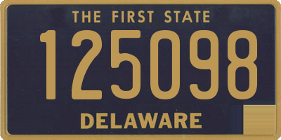 DE license plate 125098