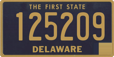 DE license plate 125209