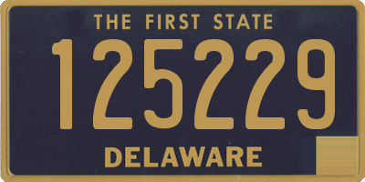 DE license plate 125229