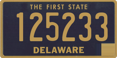 DE license plate 125233