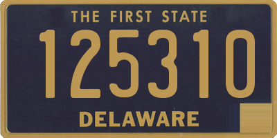 DE license plate 125310