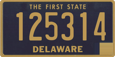 DE license plate 125314