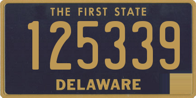 DE license plate 125339