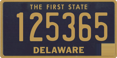 DE license plate 125365