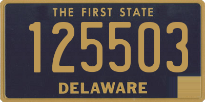 DE license plate 125503