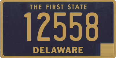 DE license plate 12558