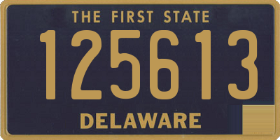 DE license plate 125613