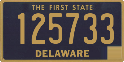 DE license plate 125733