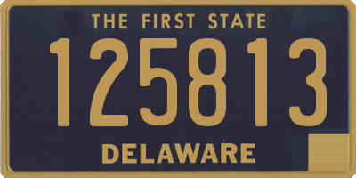 DE license plate 125813