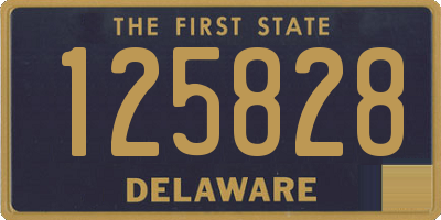 DE license plate 125828