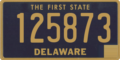 DE license plate 125873