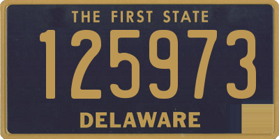 DE license plate 125973