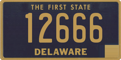 DE license plate 12666