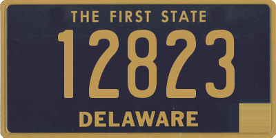 DE license plate 12823