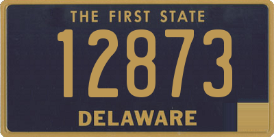 DE license plate 12873