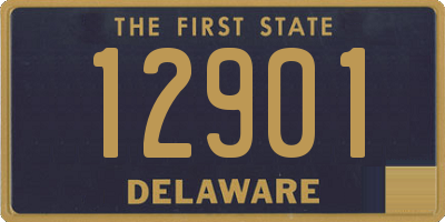 DE license plate 12901